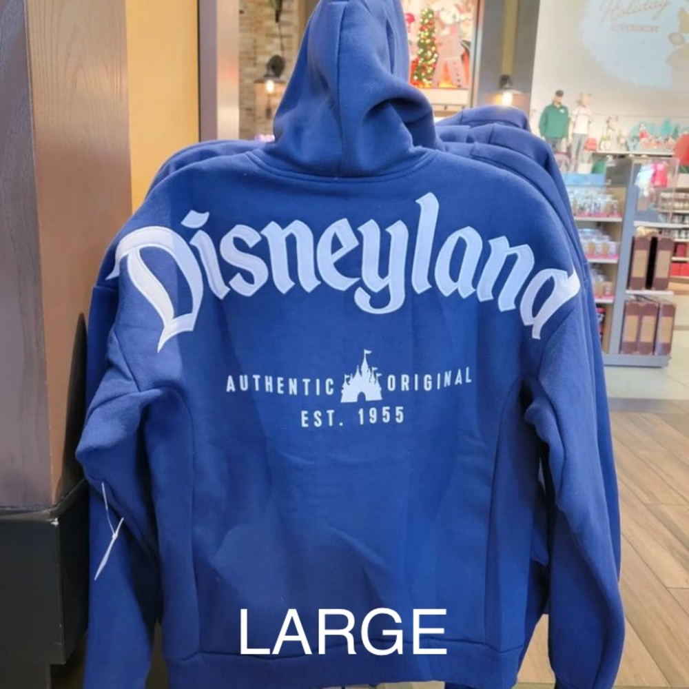 BNWT Disneyland Blue Zip Up Hoodie Large